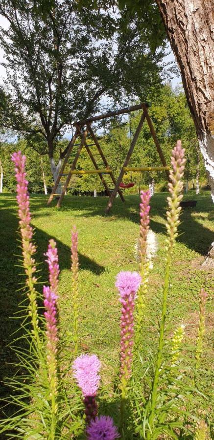 Home, Obajdin * Slunj